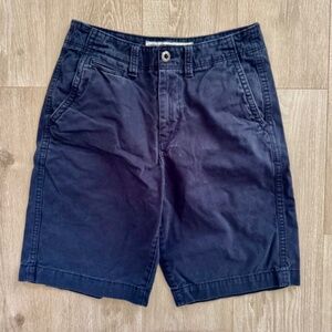 American Eagle Outfitters Mens Longboard Shorts